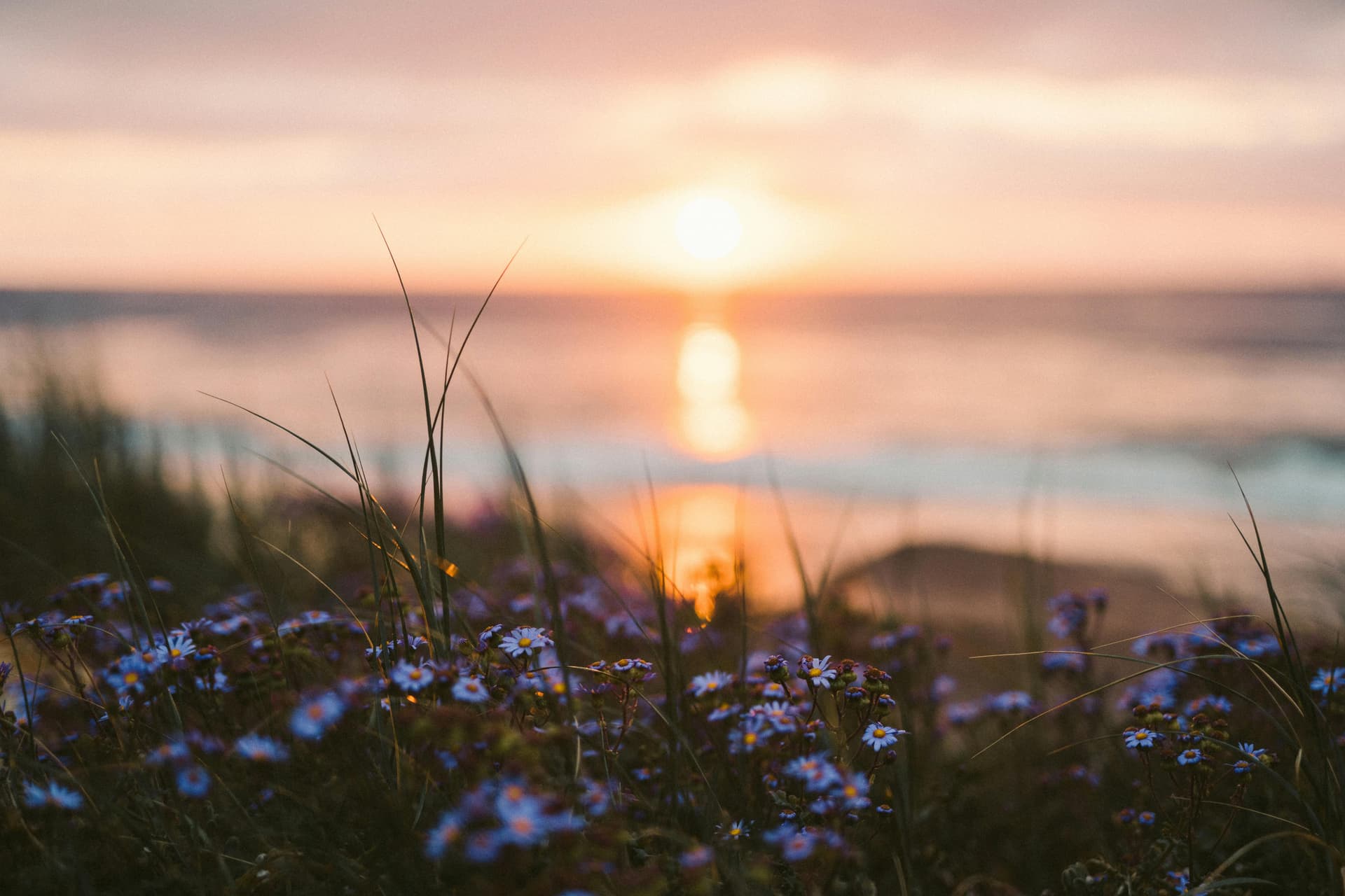 Grief & Bereavement